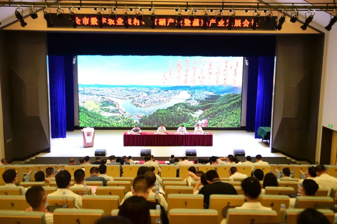 富硒蔬菜项目(蔬菜富硒项目名称)-硒宝网