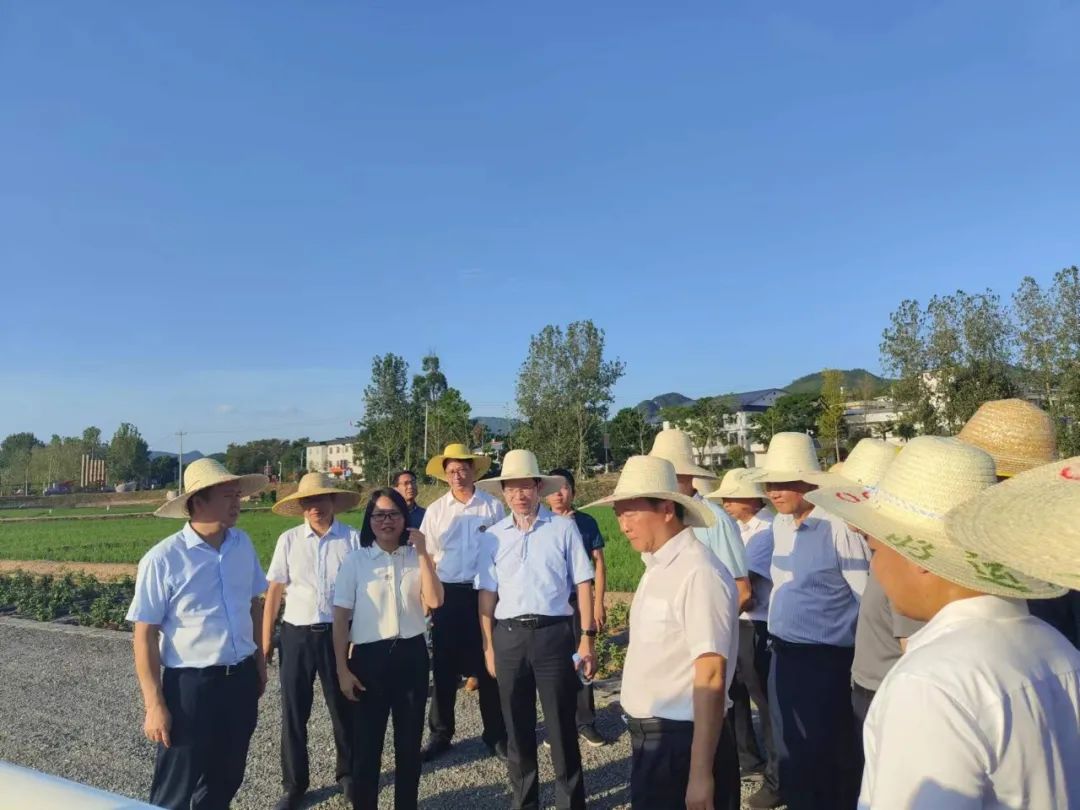 富硒蔬菜项目(蔬菜富硒项目名称)-硒宝网