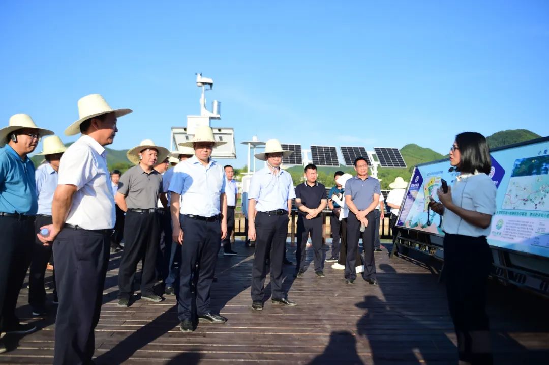 富硒蔬菜项目(蔬菜富硒项目名称)-硒宝网