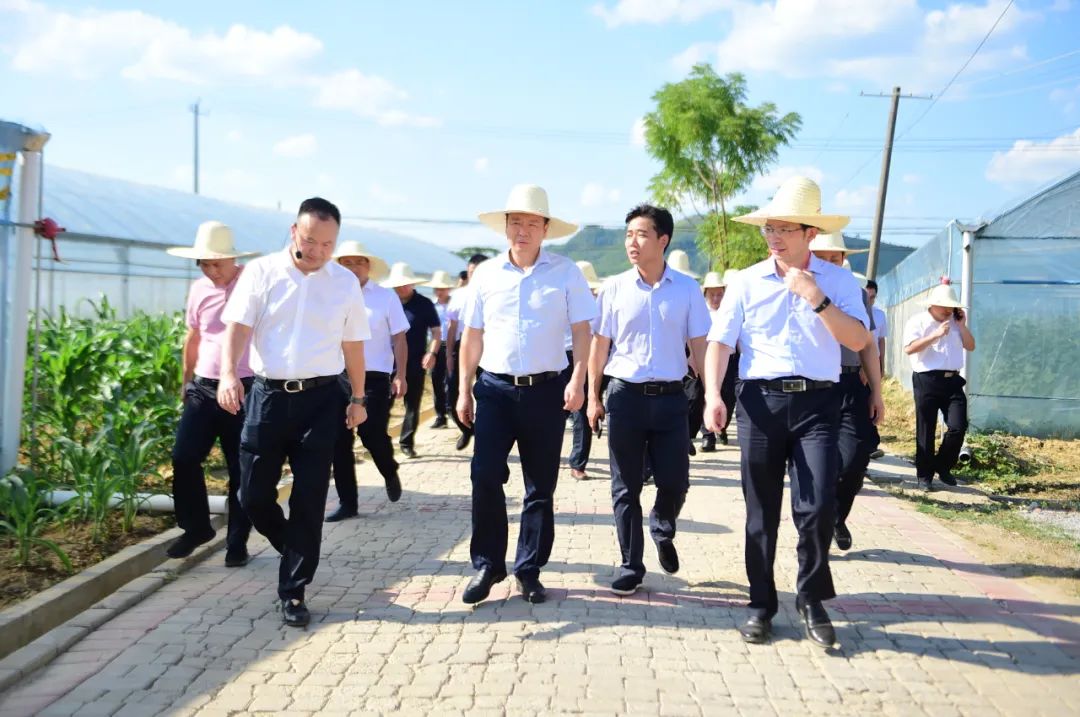 富硒蔬菜项目(蔬菜富硒项目名称)-硒宝网