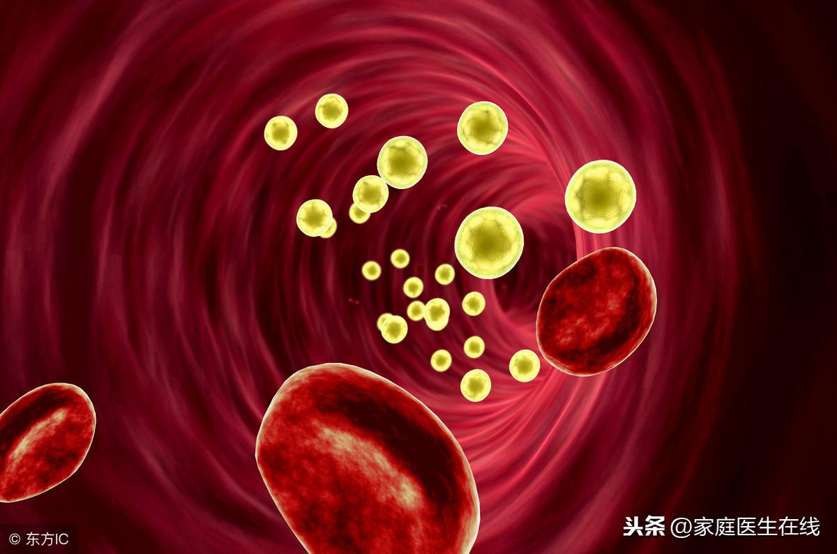 吃啥补铁补血最快最好（补血吃好补铁的药）-硒宝网