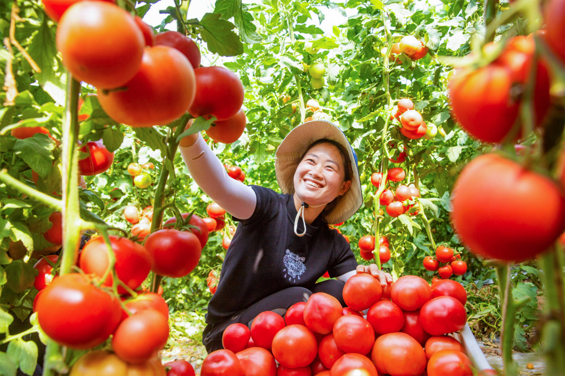 本溪富硒蔬菜(富硒菜价格)-硒宝网