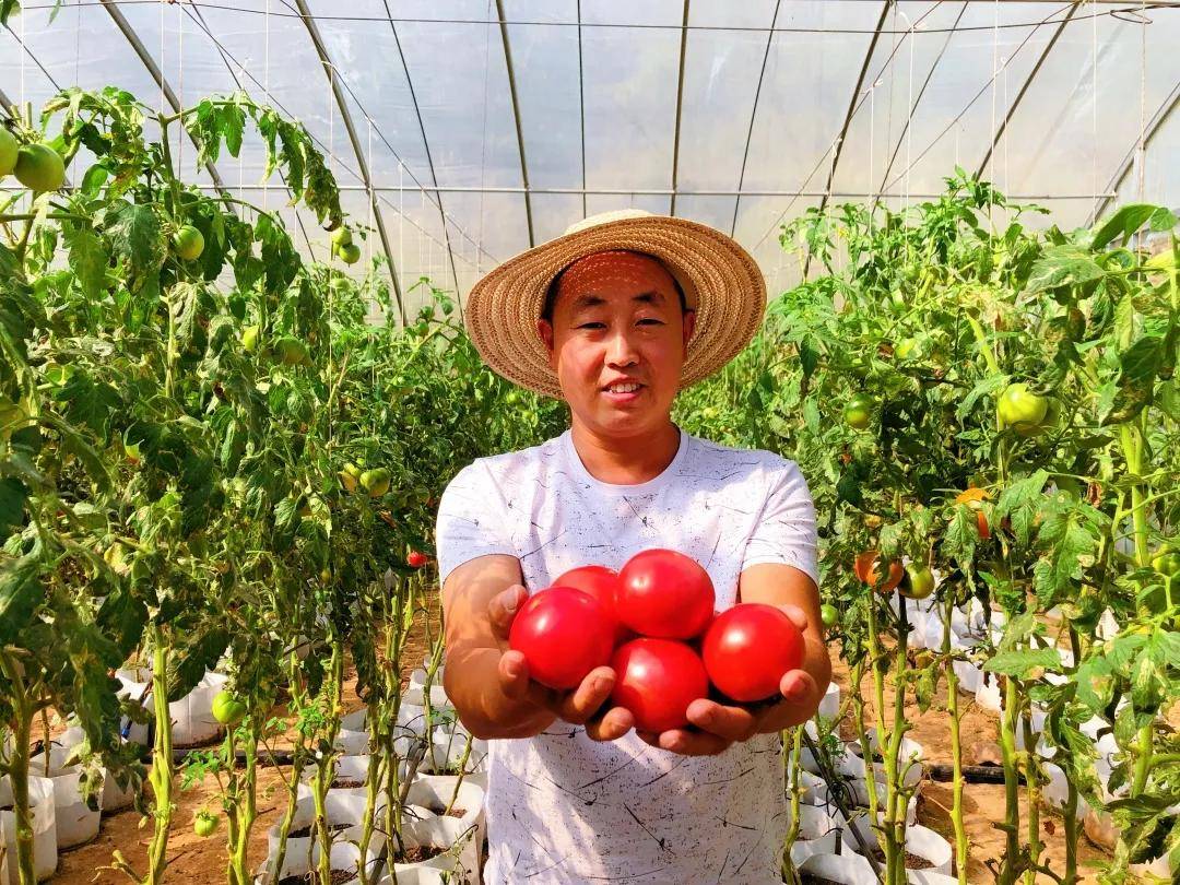 本溪富硒蔬菜(富硒菜价格)-硒宝网