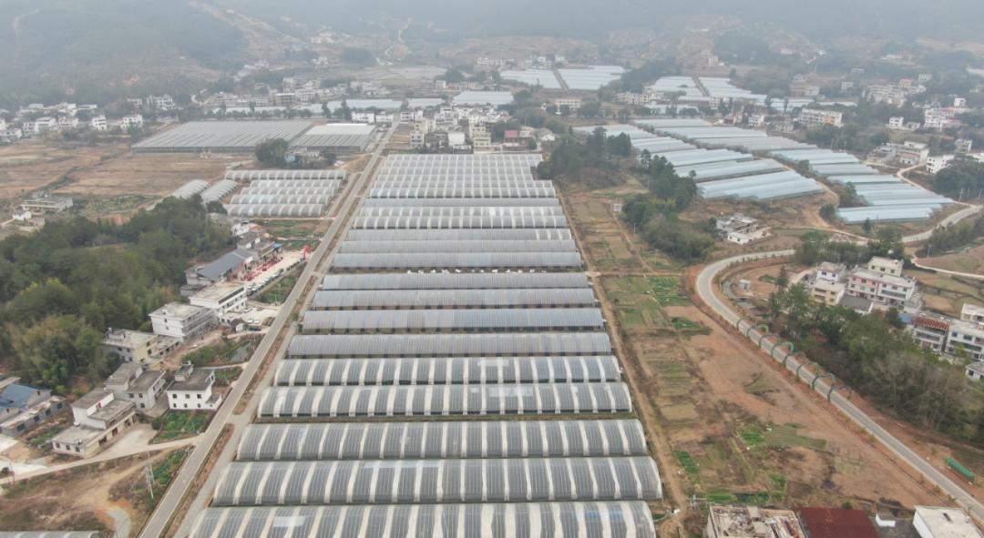 澄迈富硒蔬菜（澄迈富硒土壤分布）-硒宝网