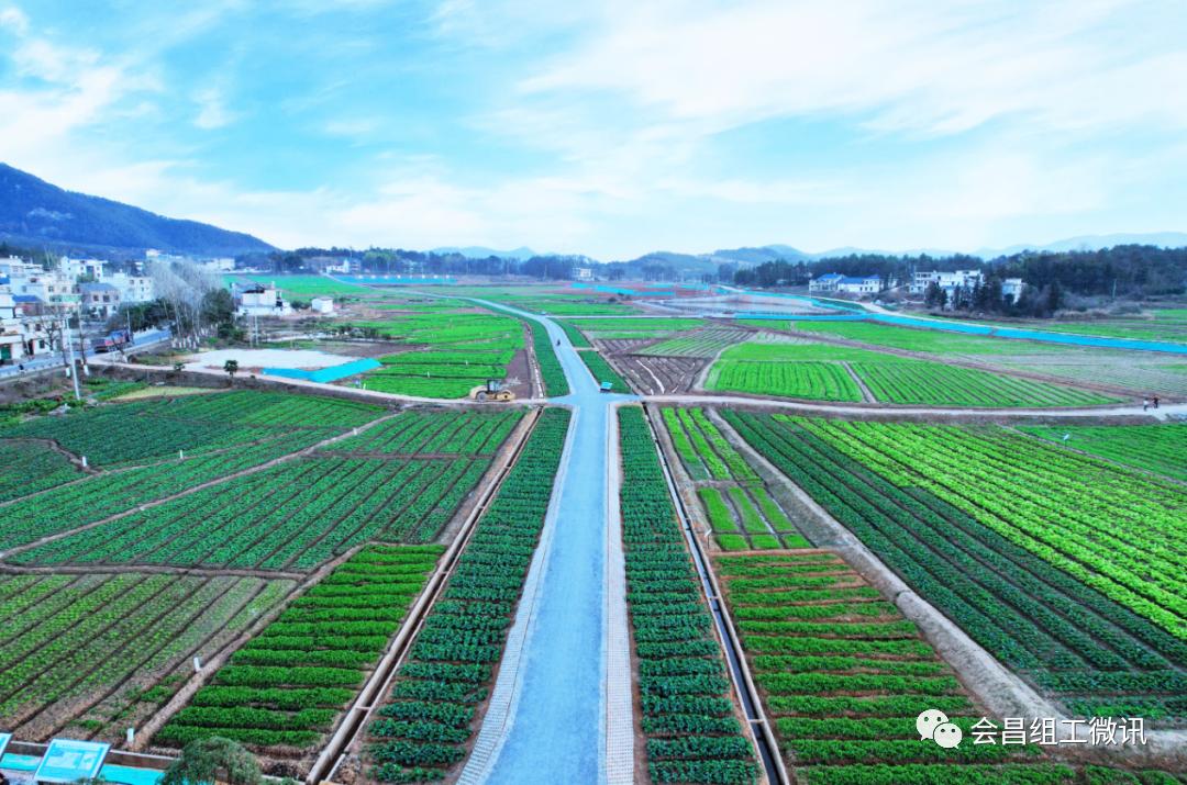 澄迈富硒蔬菜（澄迈富硒土壤分布）-硒宝网