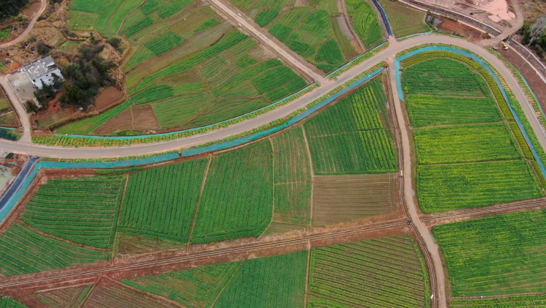 澄迈富硒蔬菜（澄迈富硒土壤分布）-硒宝网