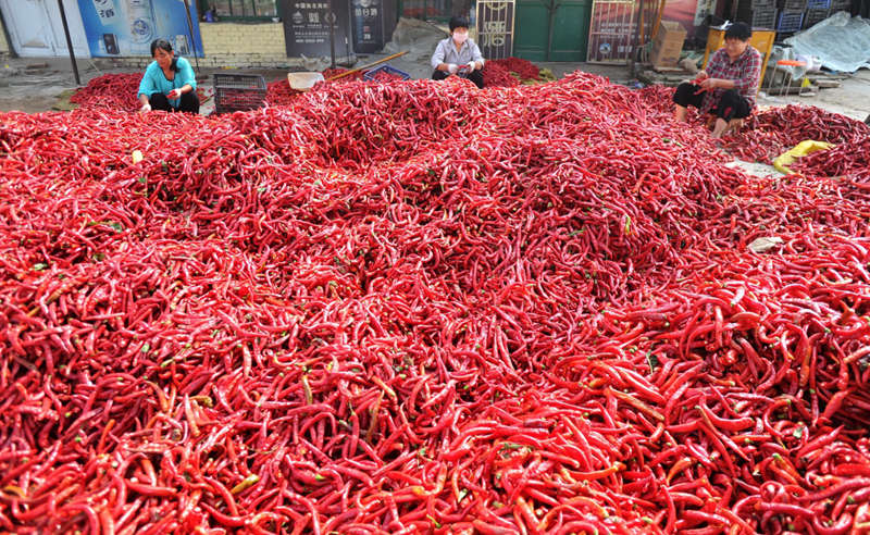 崇义富硒蔬菜（富硒蔬菜水果）-硒宝网