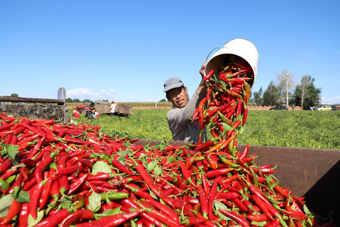 崇义富硒蔬菜（富硒蔬菜水果）-硒宝网