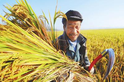 阳泉富硒蔬菜（富硒蔬菜价格比普通蔬菜）-硒宝网