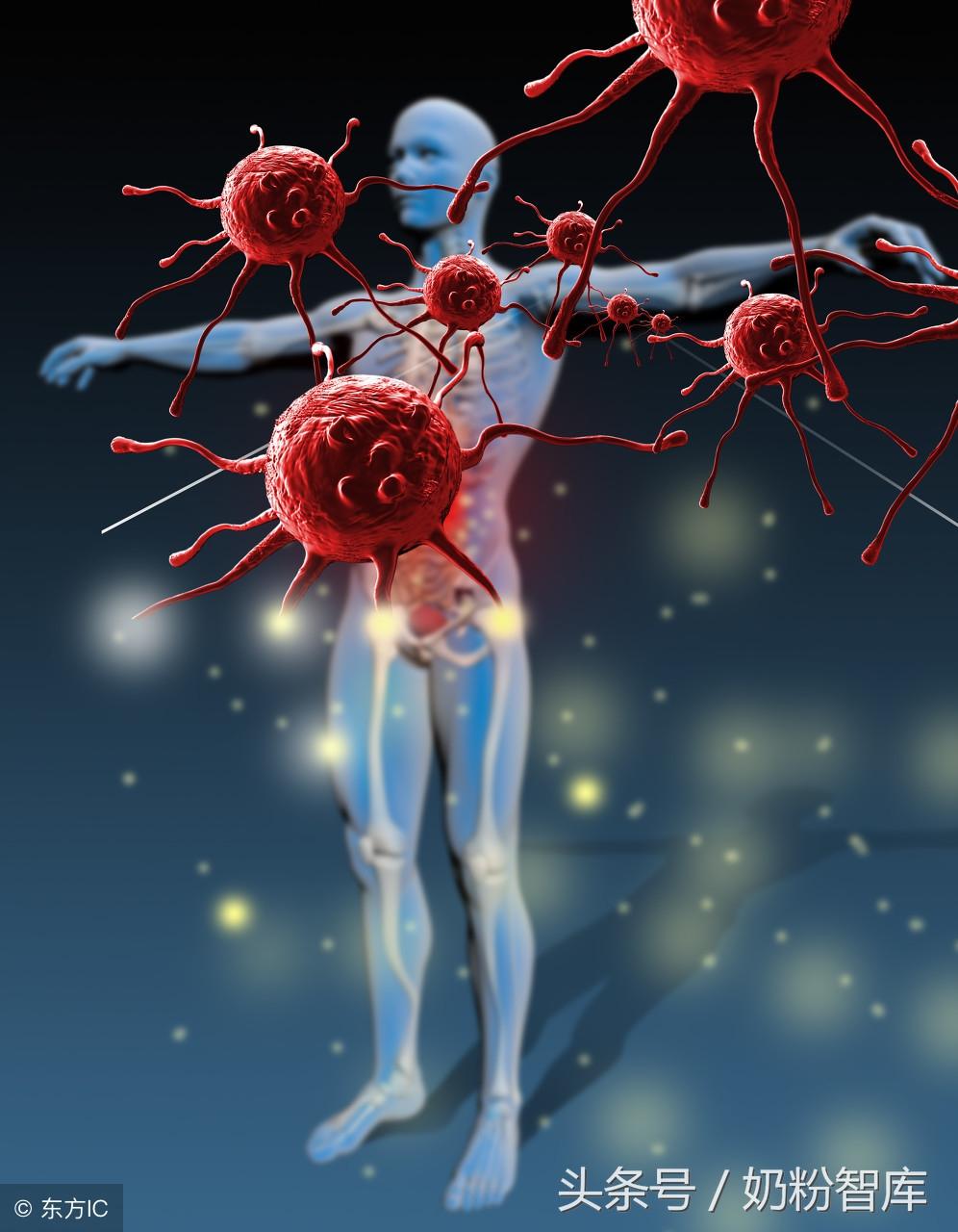 乳铁蛋白补铁吗(蛋白乳铁补铁的作用)-硒宝网