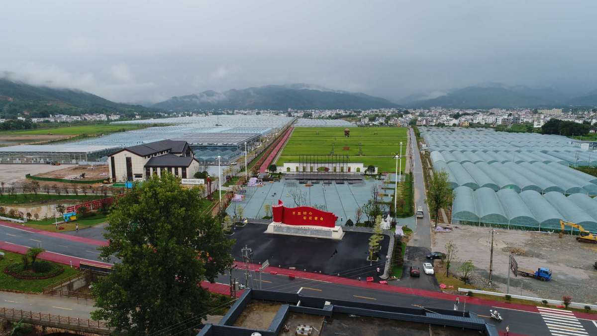 富硒蔬菜画画(蔬菜一幅画)-硒宝网