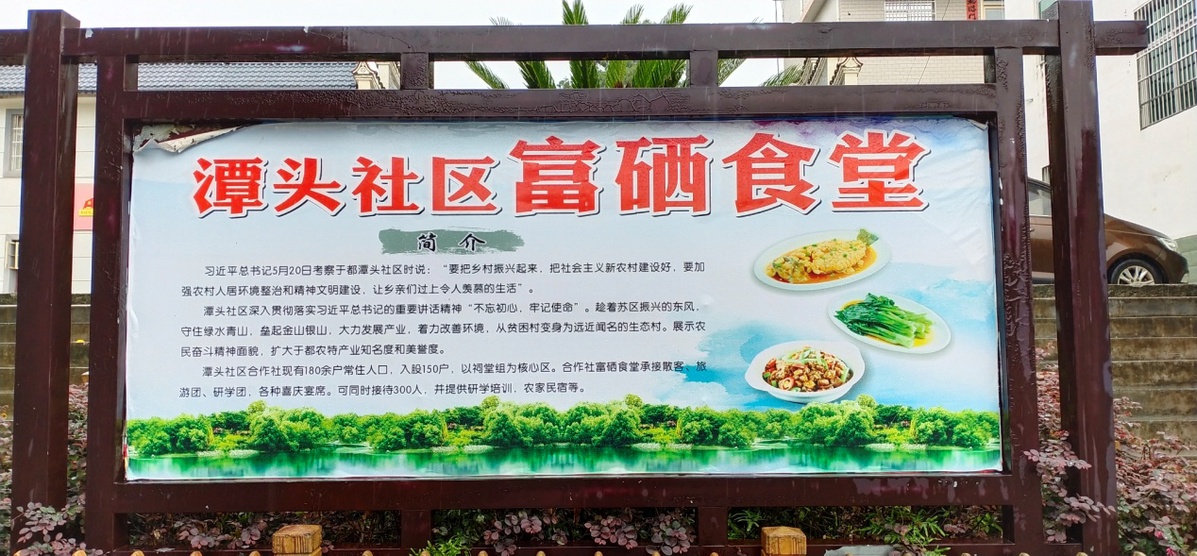 富硒蔬菜画画(蔬菜一幅画)-硒宝网