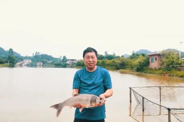 山西富硒蔬菜（富硒蔬菜多少钱一斤）-硒宝网