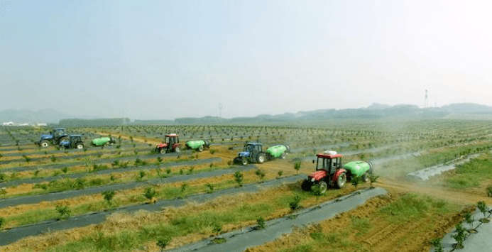 广西富硒蔬菜（富硒蔬菜的标准）-硒宝网