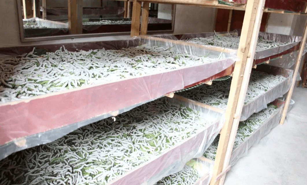 广西富硒蔬菜（富硒蔬菜的标准）-硒宝网