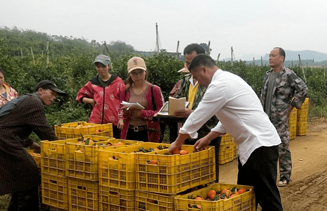 广西富硒蔬菜（富硒蔬菜的标准）-硒宝网