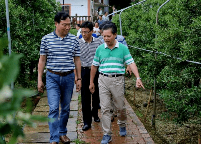 广西富硒蔬菜（富硒蔬菜的标准）-硒宝网