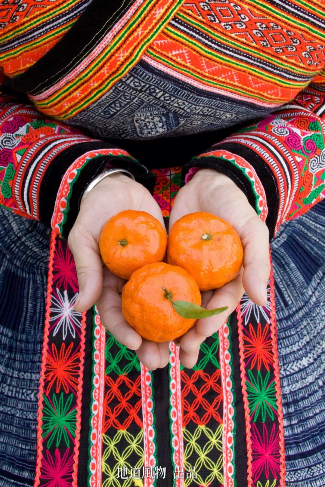 富硒蔬菜好吗(蔬菜富硒标准是多少)-硒宝网