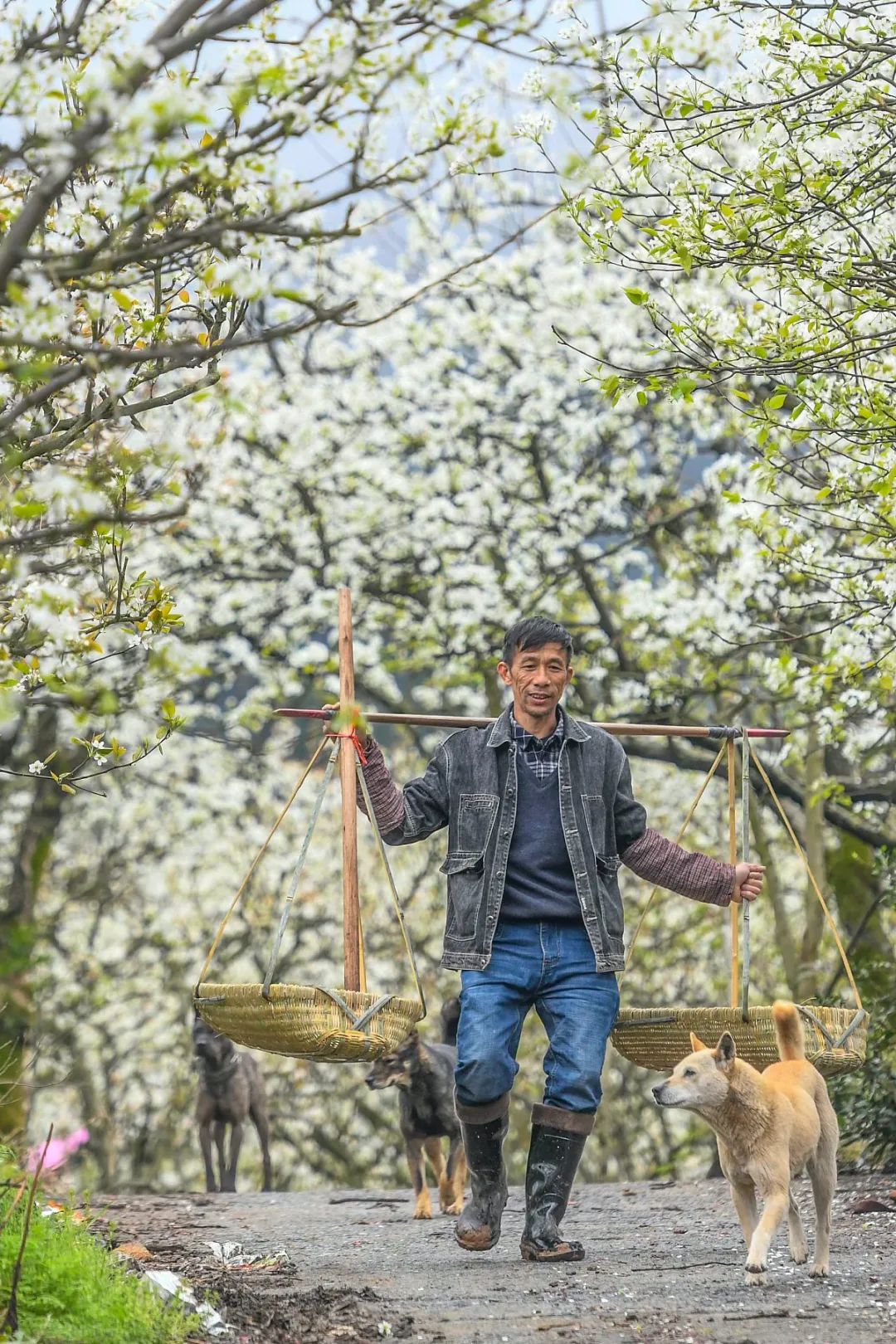 富硒蔬菜好吗(蔬菜富硒标准是多少)-硒宝网