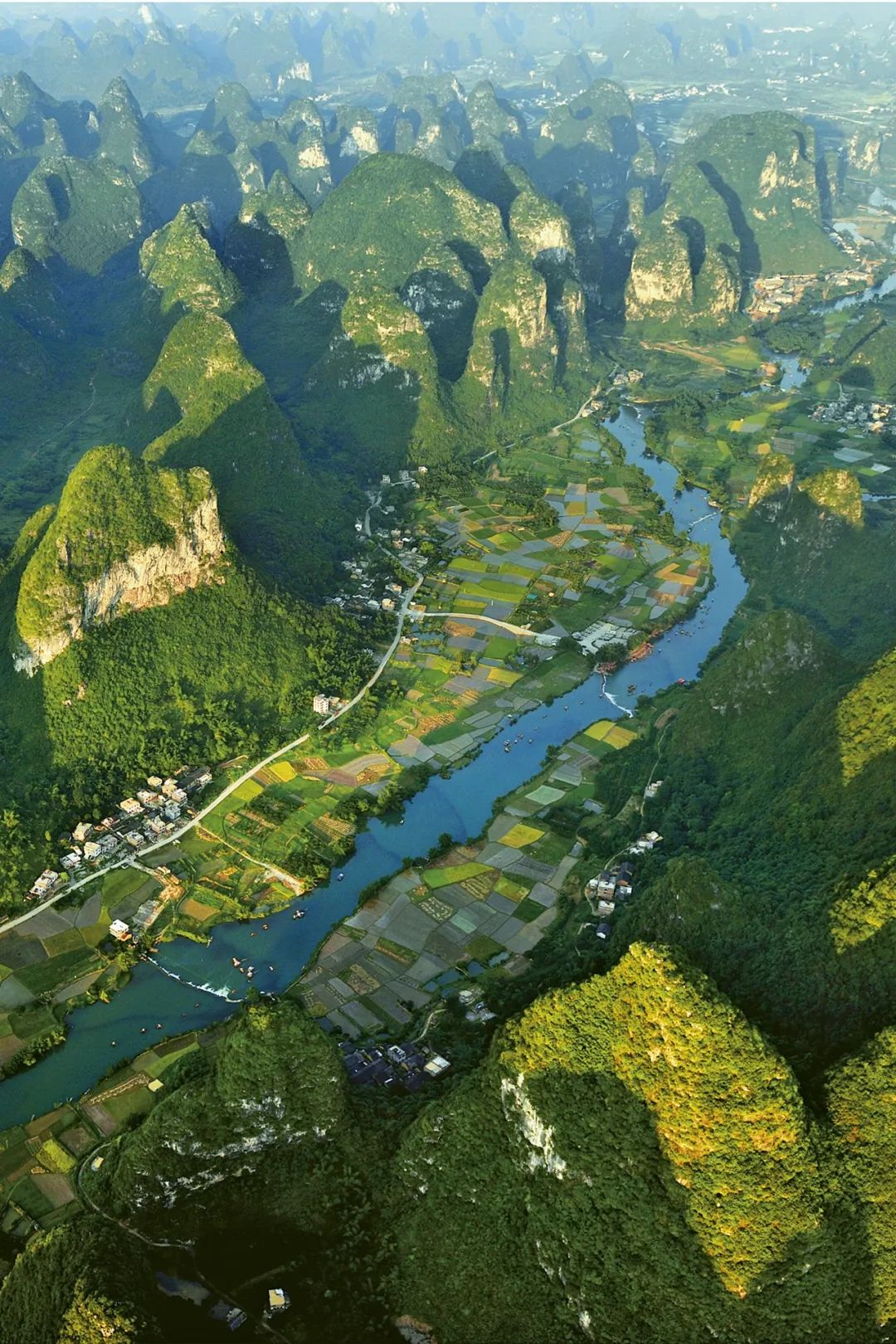 富硒蔬菜好吗(蔬菜富硒标准是多少)-硒宝网