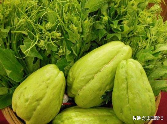 富硒蔬菜韭菜(富硒韭菜价格)-硒宝网