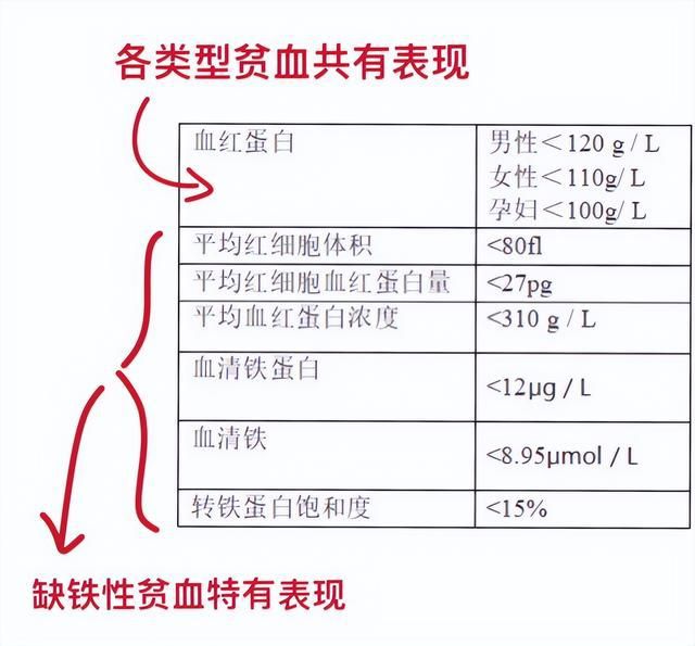 不缺铁可以补铁吗(缺铁补铁可以喝牛奶吗)-硒宝网