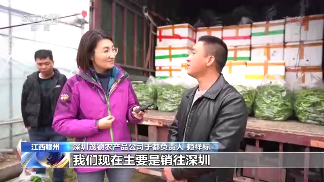 富硒蔬菜苏区（富硒蔬菜价格比普通蔬菜）-硒宝网