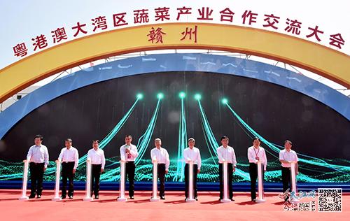 白山富硒蔬菜（蔬菜白山富硒含量）-硒宝网