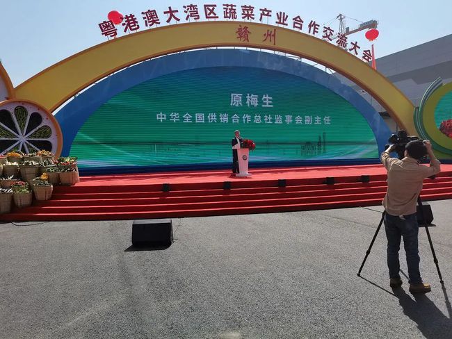 白山富硒蔬菜（蔬菜白山富硒含量）-硒宝网