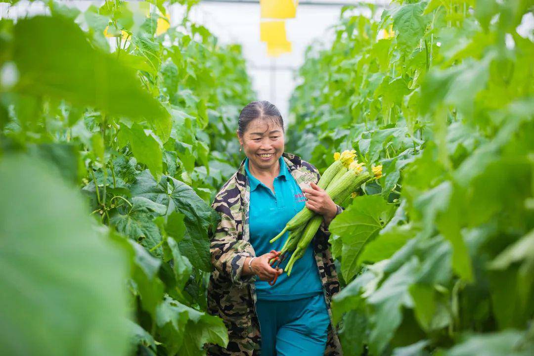 会昌富硒蔬菜（蔬菜怎么富硒）-硒宝网