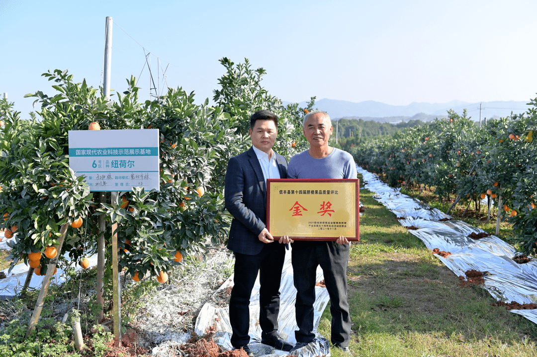 白山富硒蔬菜（富硒大白菜有啥好处）-硒宝网