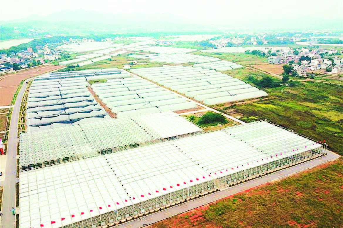 富硒蔬菜好吗(富硒蔬菜水果)-硒宝网