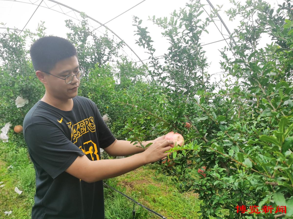 淄博富硒蔬菜（淄川富硒采摘园）-硒宝网