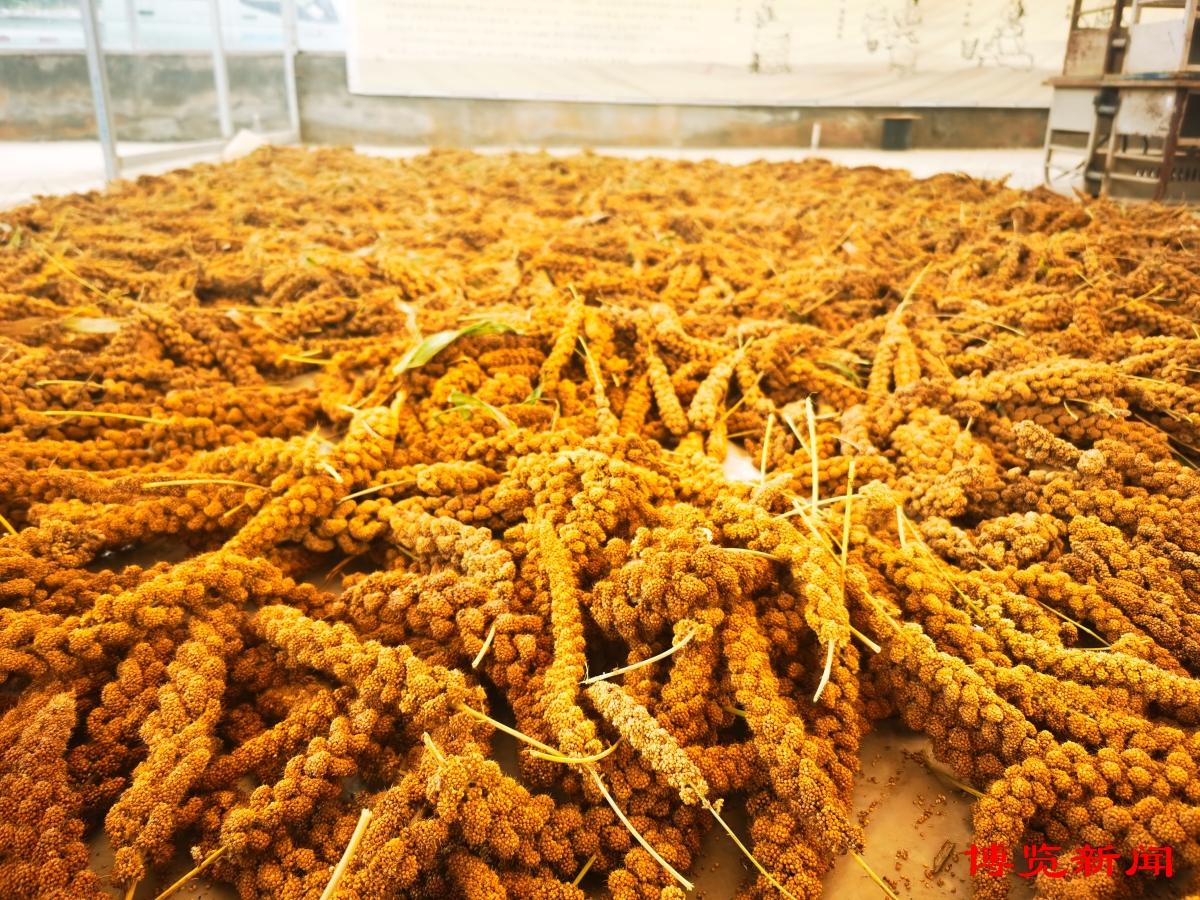 淄博富硒蔬菜（淄川富硒采摘园）-硒宝网