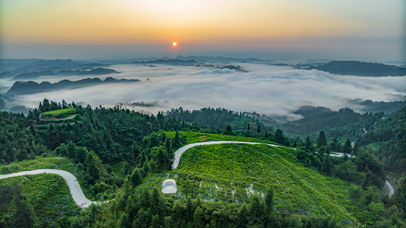 富硒蔬菜苏区（富硒蔬菜多少钱一斤）-硒宝网