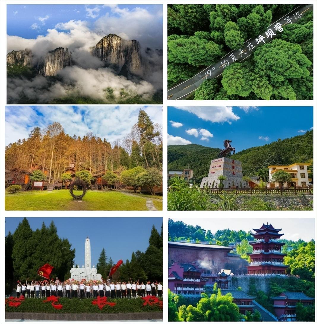 富硒蔬菜苏区（富硒蔬菜多少钱一斤）-硒宝网