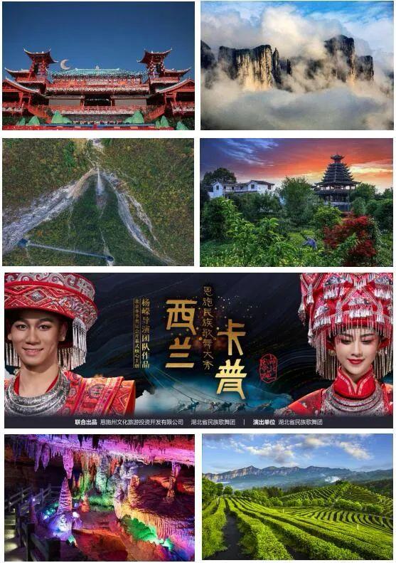 富硒蔬菜苏区（富硒蔬菜多少钱一斤）-硒宝网