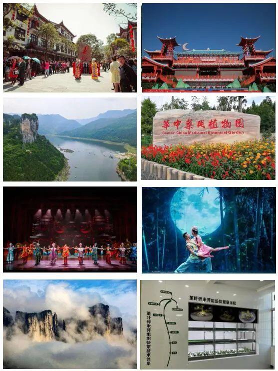 富硒蔬菜苏区（富硒蔬菜多少钱一斤）-硒宝网