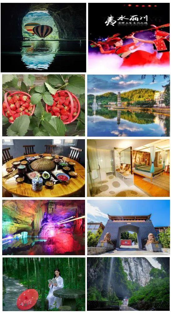 富硒蔬菜苏区（富硒蔬菜多少钱一斤）-硒宝网