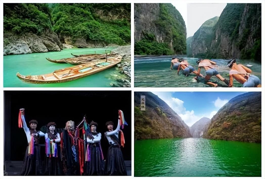 富硒蔬菜苏区（富硒蔬菜多少钱一斤）-硒宝网