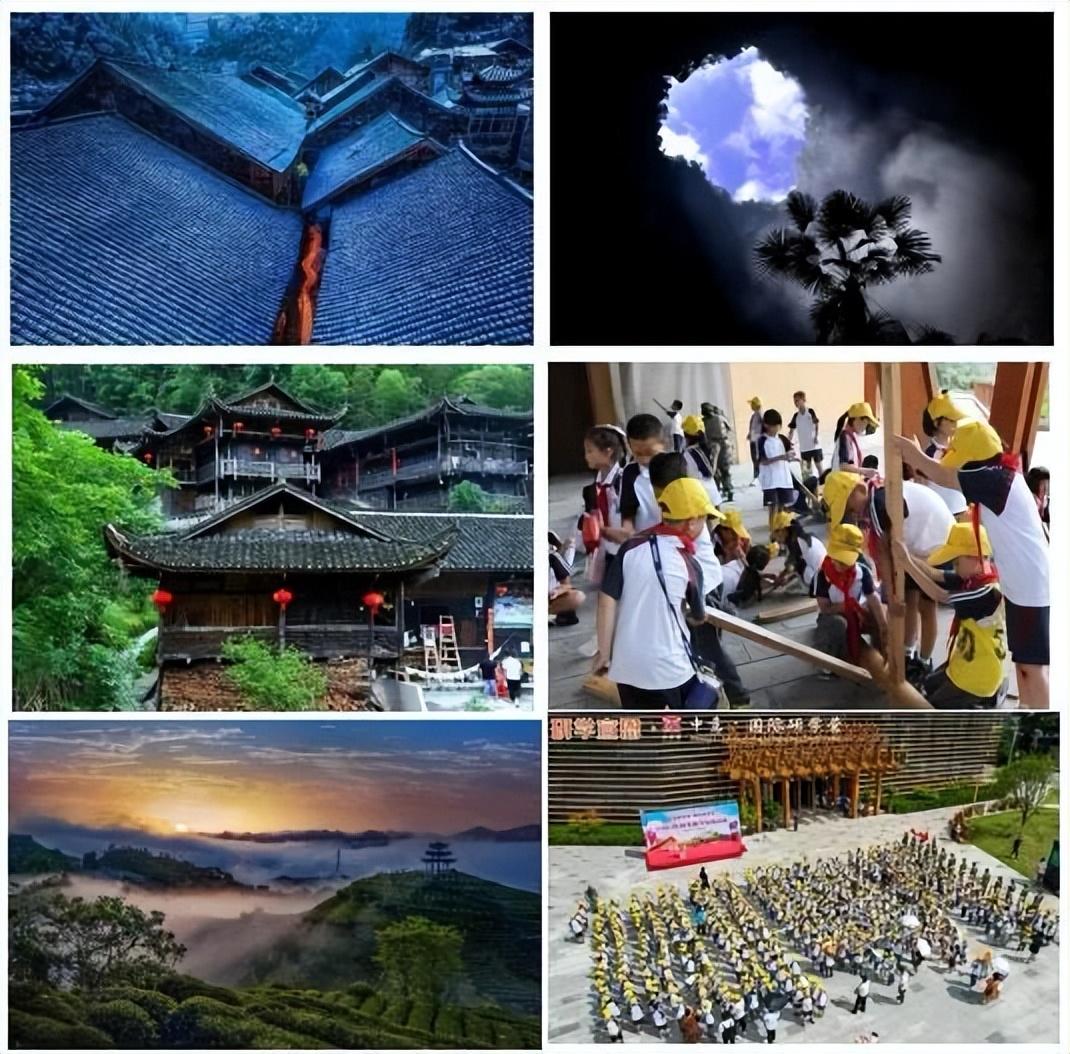 富硒蔬菜苏区（富硒蔬菜多少钱一斤）-硒宝网