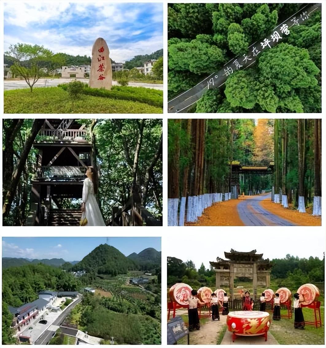 富硒蔬菜苏区（富硒蔬菜多少钱一斤）-硒宝网