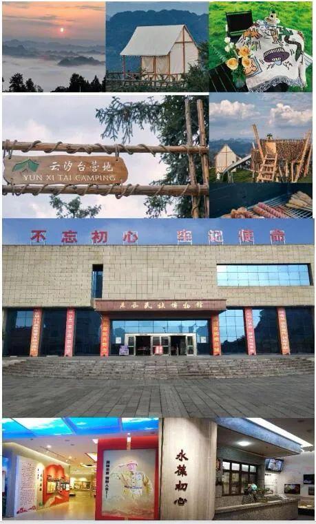 富硒蔬菜苏区（富硒蔬菜多少钱一斤）-硒宝网