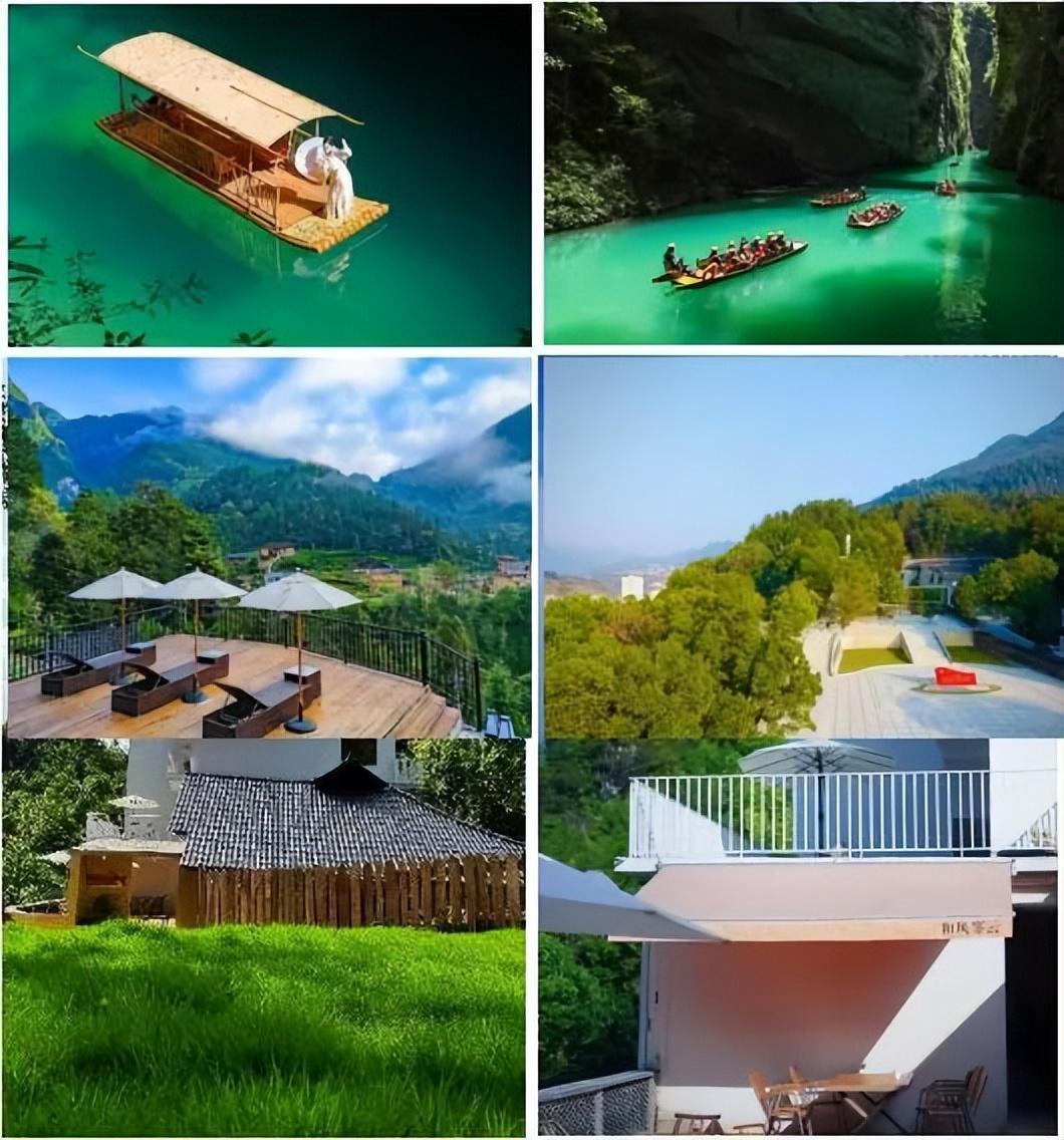 富硒蔬菜苏区（富硒蔬菜多少钱一斤）-硒宝网