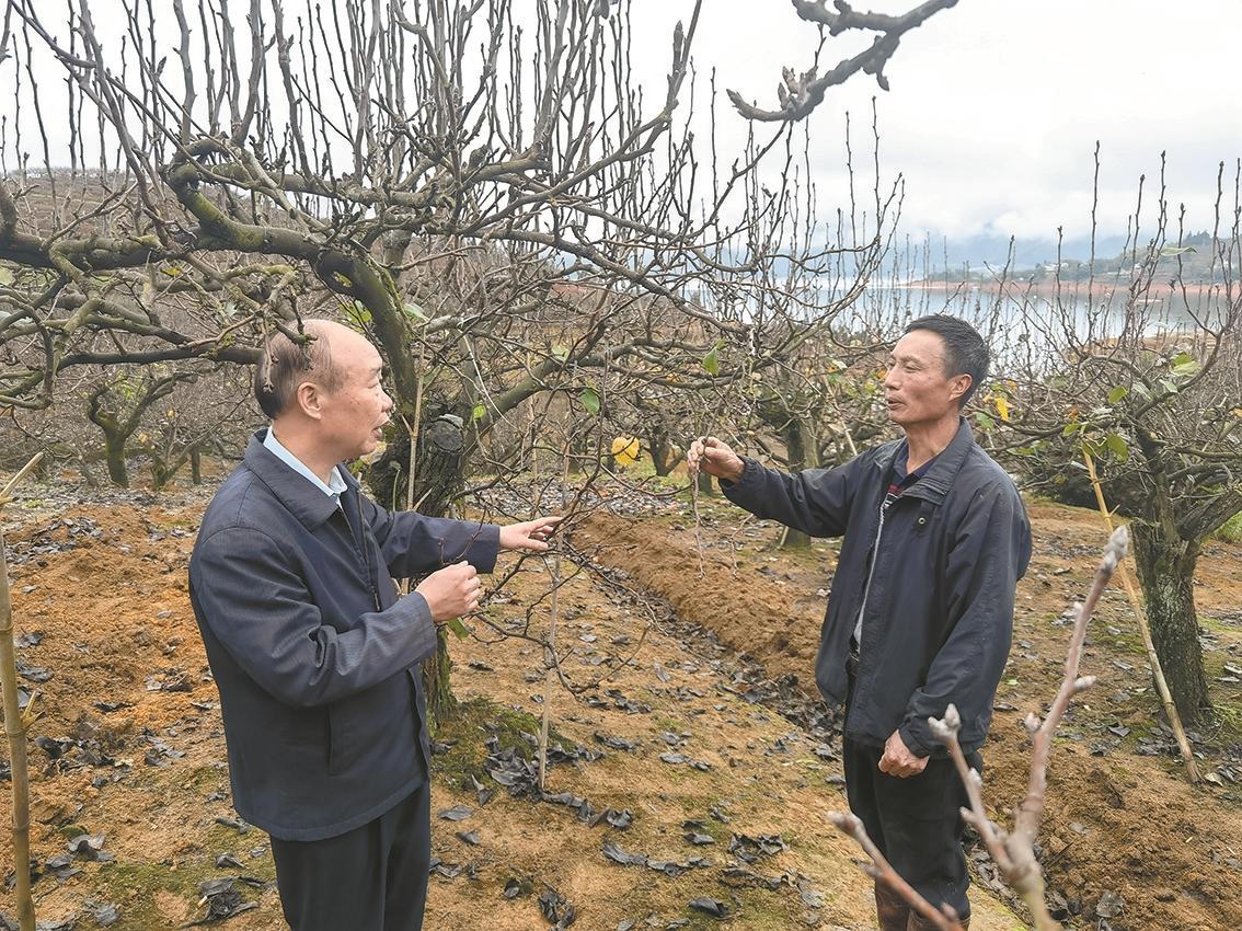 富硒水栽蔬菜(富硒蔬菜的好处)-硒宝网