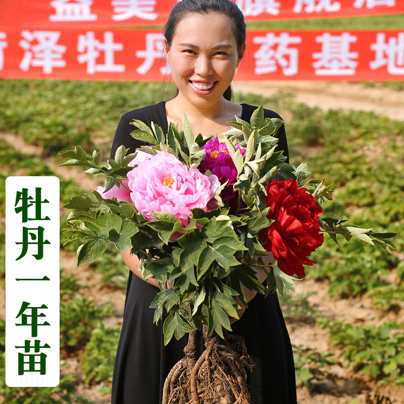 荷泽富硒蔬菜(富硒蔬菜水果)-硒宝网