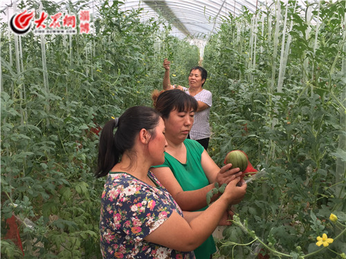 淄博富硒蔬菜（淄博富硒生态园）-硒宝网