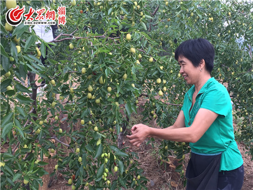 淄博富硒蔬菜（淄博富硒生态园）-硒宝网