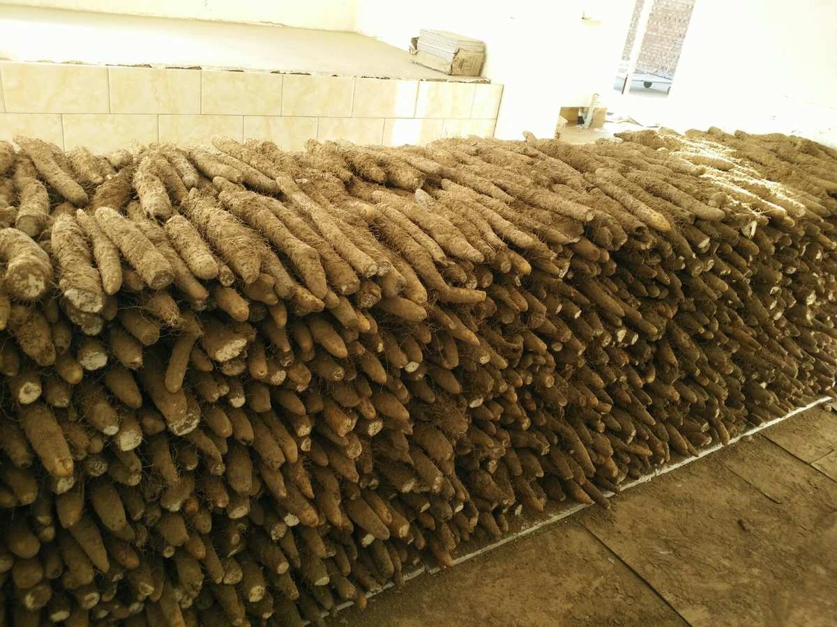 荷泽富硒蔬菜（富硒蔬菜多少钱一斤）-硒宝网