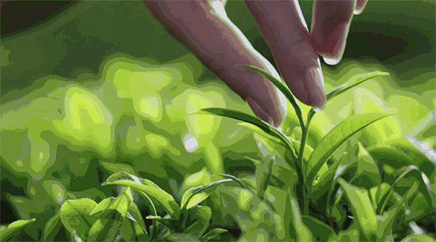 湖州富硒蔬菜（浙江富硒基地）-硒宝网